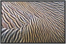 Load image into Gallery viewer, Ashy Headed Goose - print with frame