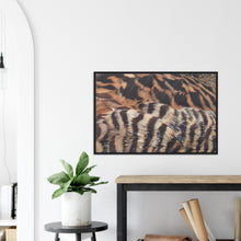 Load image into Gallery viewer, Eider Duck - print with frame