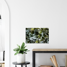 Load image into Gallery viewer, Blue Water