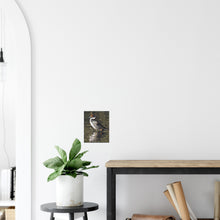 Load image into Gallery viewer, Pintail 2 - canvas