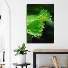 Load image into Gallery viewer, The world is full of magic things - Canvas