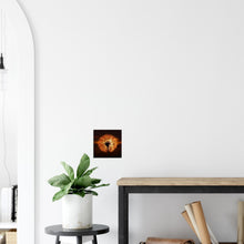 Load image into Gallery viewer, Goatsbeard Dawn - Canvas