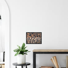 Load image into Gallery viewer, Eider Duck - print with frame