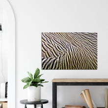 Load image into Gallery viewer, Ashy Headed Goose - Canvas