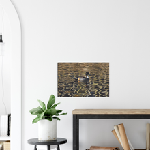 Load image into Gallery viewer, Pintail - canvas