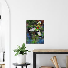 Load image into Gallery viewer, Snowdrop - Canvas