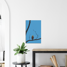 Load image into Gallery viewer, Yellowhammer