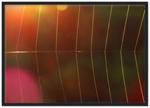 Load image into Gallery viewer, Dawn Web - print with frame