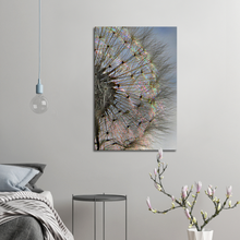 Load image into Gallery viewer, Dandelion Iridescence - canvas