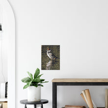 Load image into Gallery viewer, Pintail 2 - canvas