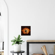 Load image into Gallery viewer, Goatsbeard Dawn - Canvas