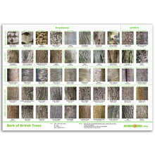 Load image into Gallery viewer, Tree Bark Poster