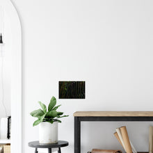 Load image into Gallery viewer, Dewy web - Canvas