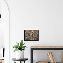 Load image into Gallery viewer, Pintail - print with frame