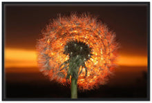 Load image into Gallery viewer, Dandelion Dawn - Print with frame