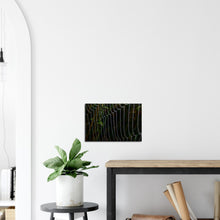 Load image into Gallery viewer, Dewy web - Canvas