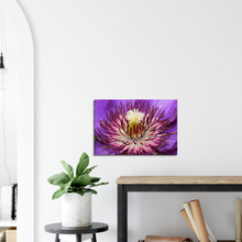 Load image into Gallery viewer, Clematis - Canvas