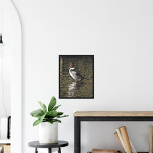 Load image into Gallery viewer, Pintail 2 - print with frame