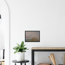 Load image into Gallery viewer, Ashy Headed Goose - print with frame