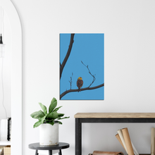 Load image into Gallery viewer, Yellowhammer