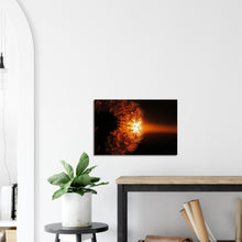 Load image into Gallery viewer, Dark Side of the Dandelion - Canvas