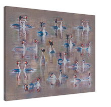 Load image into Gallery viewer, Displaying Grebes - canvas