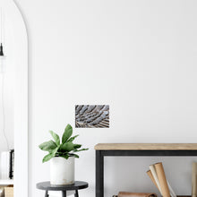 Load image into Gallery viewer, Emperor Goose - Canvas