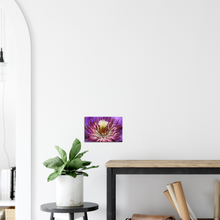 Load image into Gallery viewer, Clematis - Canvas