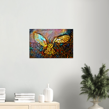 Load image into Gallery viewer, a crack must have opened to let the barn owl in - Canvas