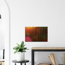 Load image into Gallery viewer, Dawn Spider's Web - canvas