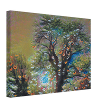 Load image into Gallery viewer, Dawnflower