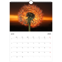 Load image into Gallery viewer, 113e991d-65c4-42f6-bbf6-3adb7dba054c
