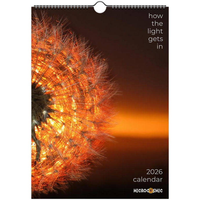 2fb90ad5-9f91-48fc-bced-e74ad2062d63