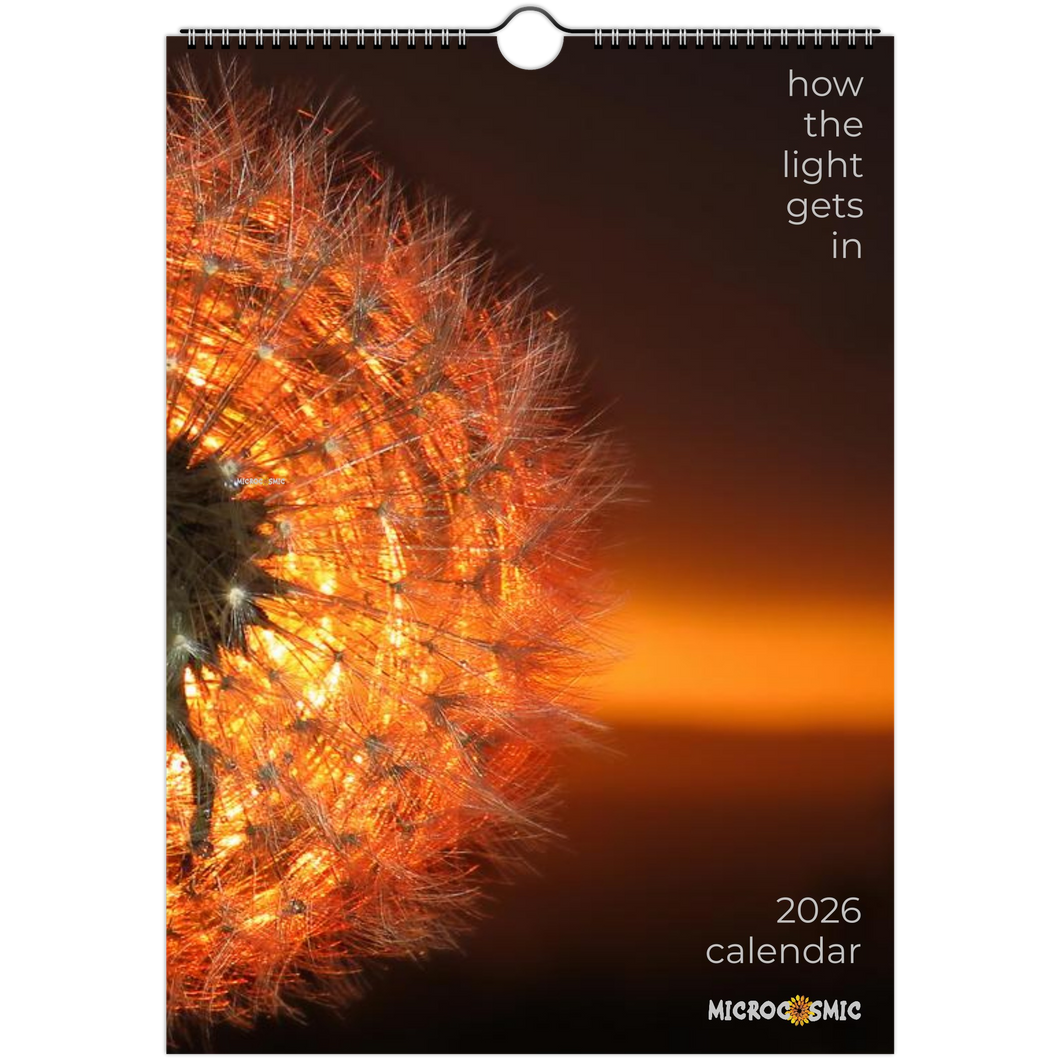 2fb90ad5-9f91-48fc-bced-e74ad2062d63