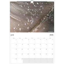 Load image into Gallery viewer, 41f6e9c7-1fbe-4b22-827e-694fc46d200c
