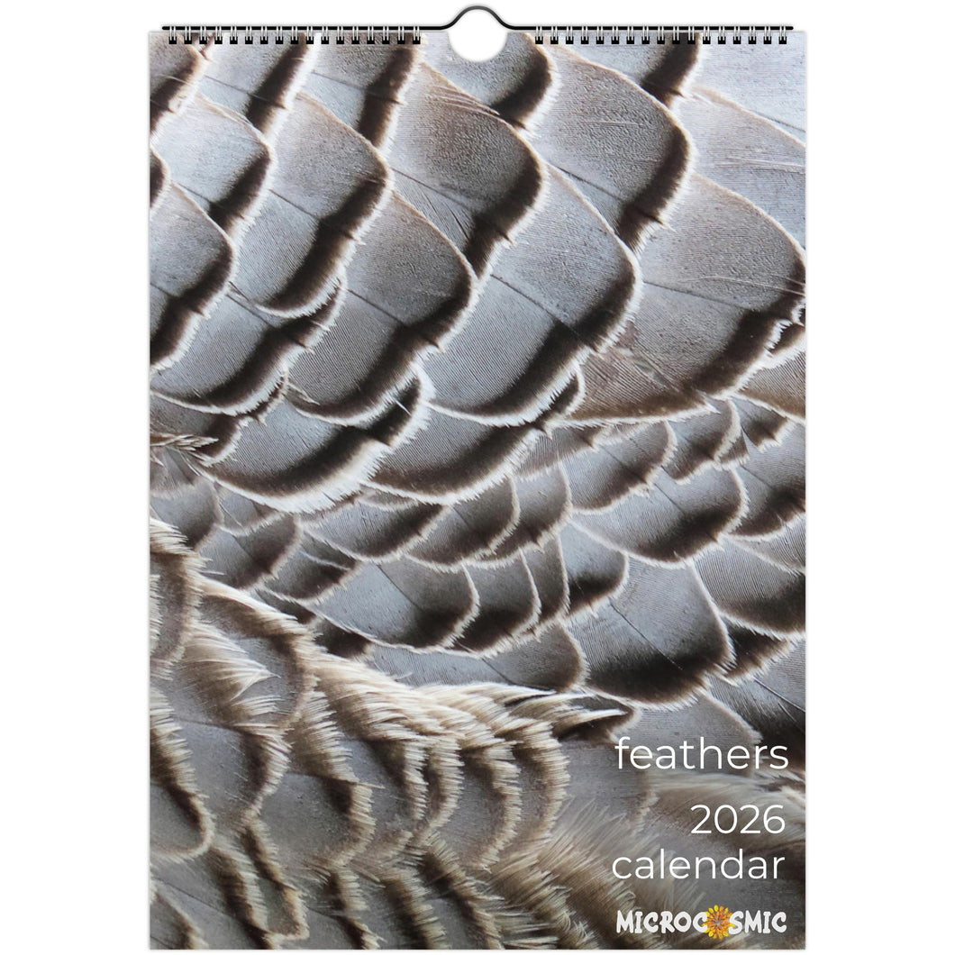 89ed4986-afb3-4ba9-a7c5-c5ad2f568ba5