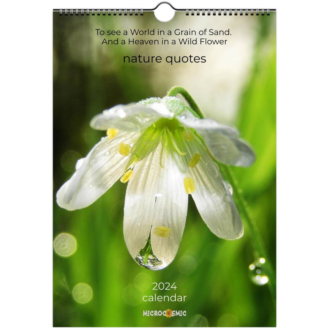 Nature Quotes - 2024 Calendar