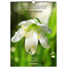 Load image into Gallery viewer, b791e47c-1071-4f91-af09-59e402612412
