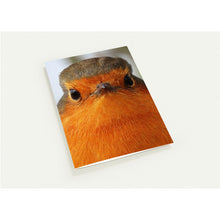 Load image into Gallery viewer, Robin - Christmas Card -  10 Greeting Cards with envelopes
