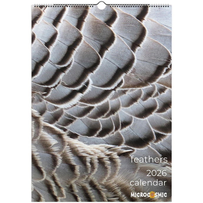 e442b384-8766-4b76-86bb-8bb860c87293