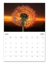 Load image into Gallery viewer, How the light gets in - 2024 calendar
