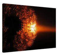 Load image into Gallery viewer, Dark Side of the Dandelion - Canvas
