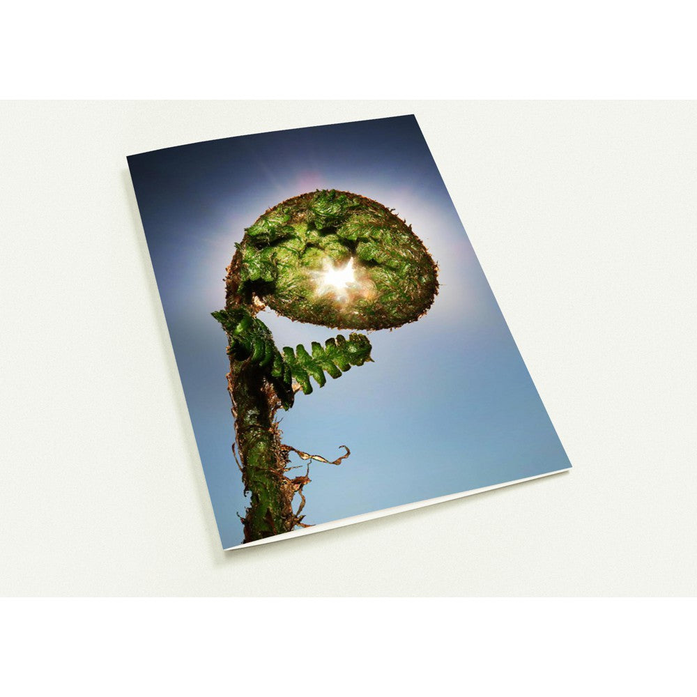 Fern Flare - Greetings cards - pack of 10