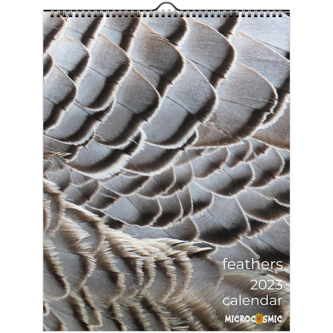 Feathers - 2023 - calendar (US & CA)