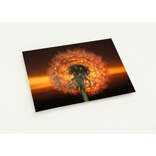 Load image into Gallery viewer, Dandelion Dawn 2 - Greetings cards - pack of 10
