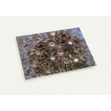 Load image into Gallery viewer, Journey to the Centre of the Dandelion - Greetings cards - pack of 10
