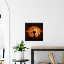 Load image into Gallery viewer, Goatsbeard Dawn   - Print with frame
