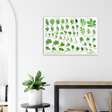 Load image into Gallery viewer, Tree Leaves Print
