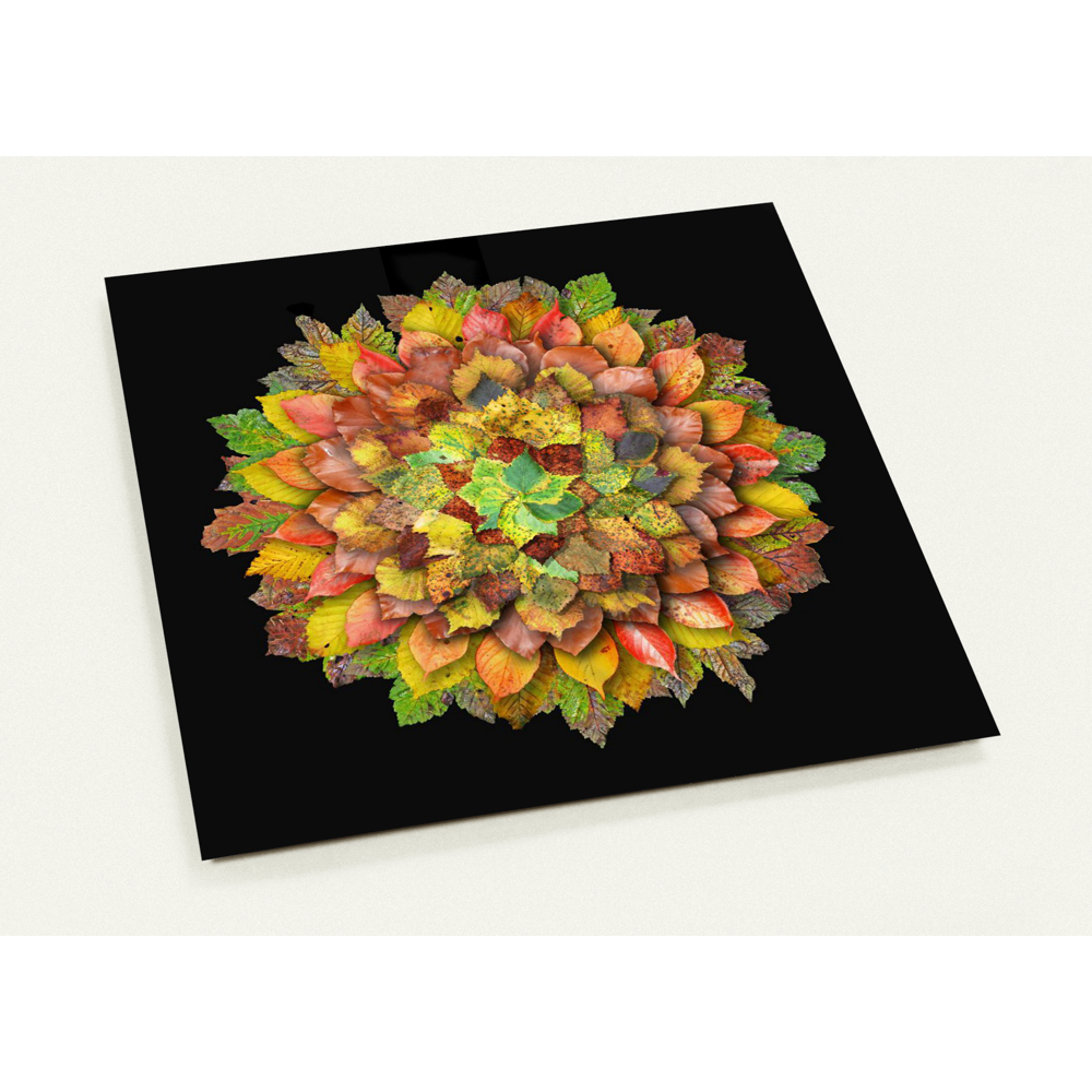 Autumn Leaves - 10 postcards + envelopes 14cm x 14cm