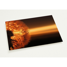 Load image into Gallery viewer, Another Dandelion  Dawn - 10 A5 postcards + envelopes
